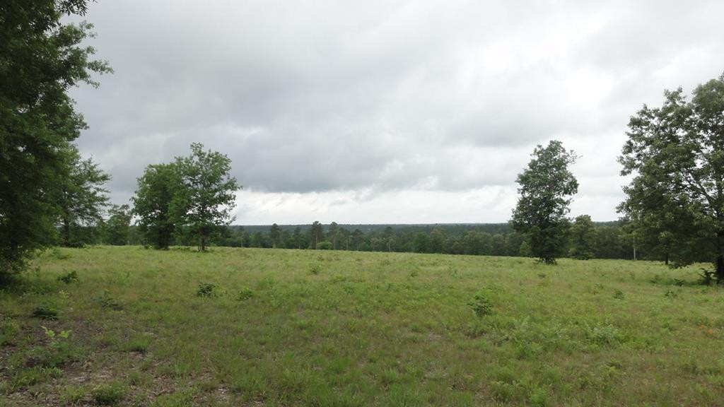 809 Colbert Bridge Road Windsor, SC 29856 - Photo 1 of 3