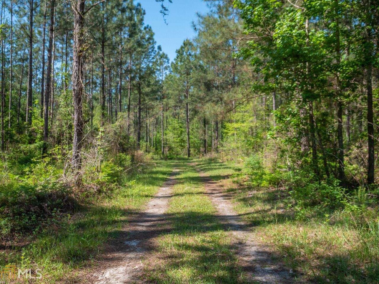 2075 Roundtree Bridge Road Norman Park, GA 31771 - Photo 1 of 1