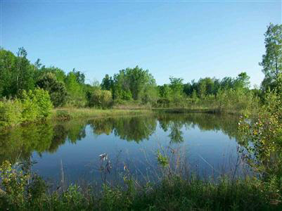 14200 Belsay Road Millington, MI 48746 - Photo 10 of 13 20271112-9.JPG