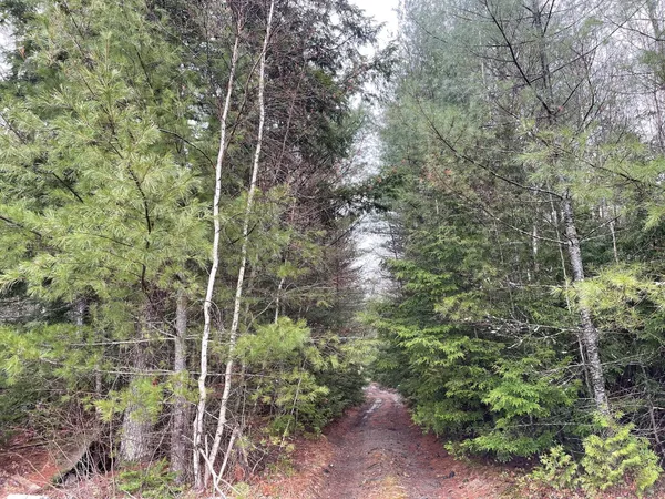 $299,900 | Lot 10-14 Ten Road, Bradley, ME 04411