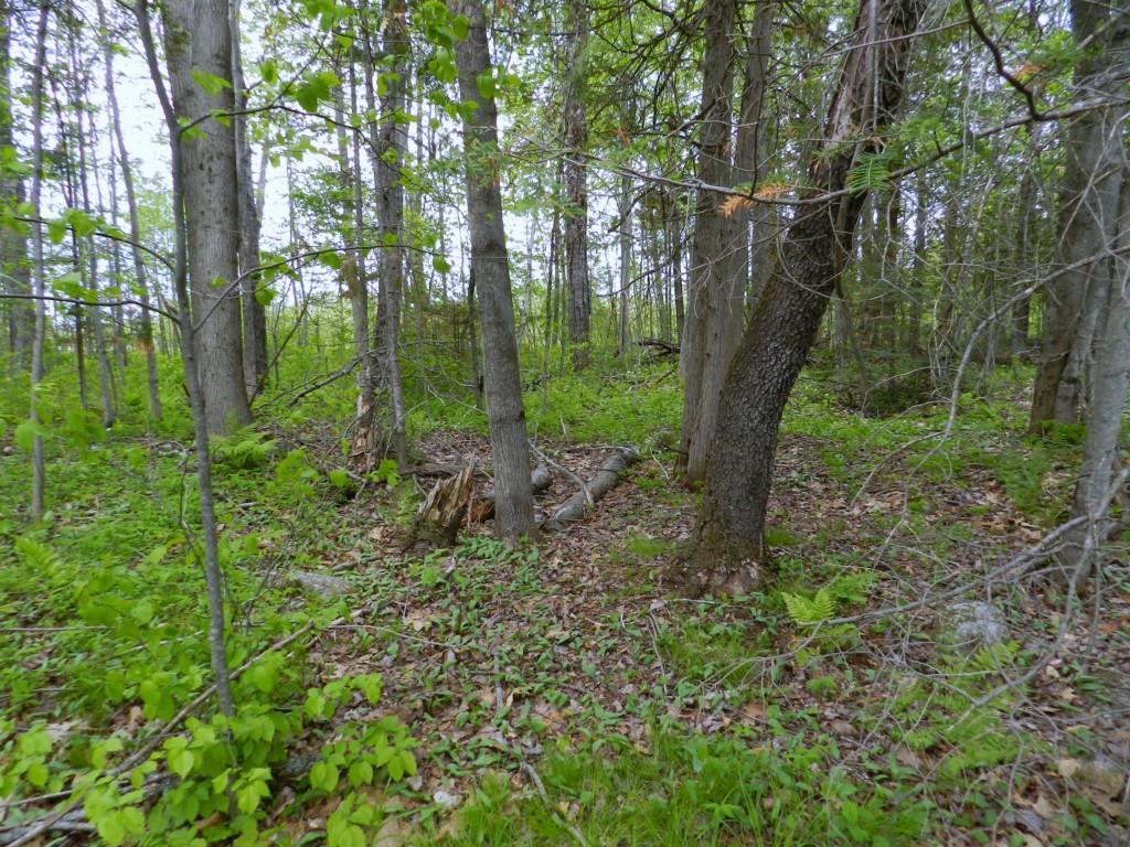 0 Mount Road Pittsfield, ME 04967 - Photo 23 of 25 Photo