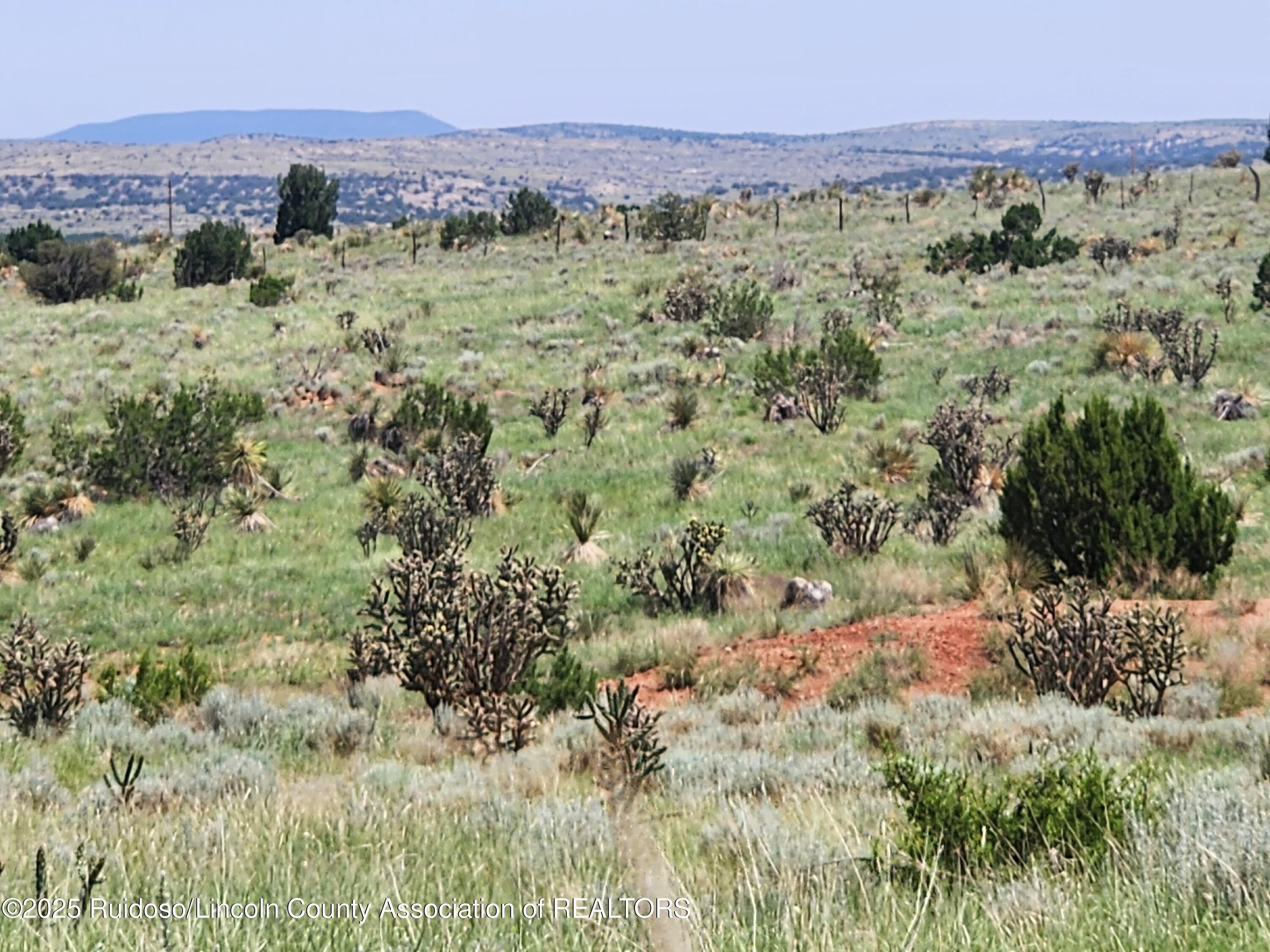 312 Windmill Road Carrizozo, NM 88301 - Photo 4 of 70 Gallery Image 4