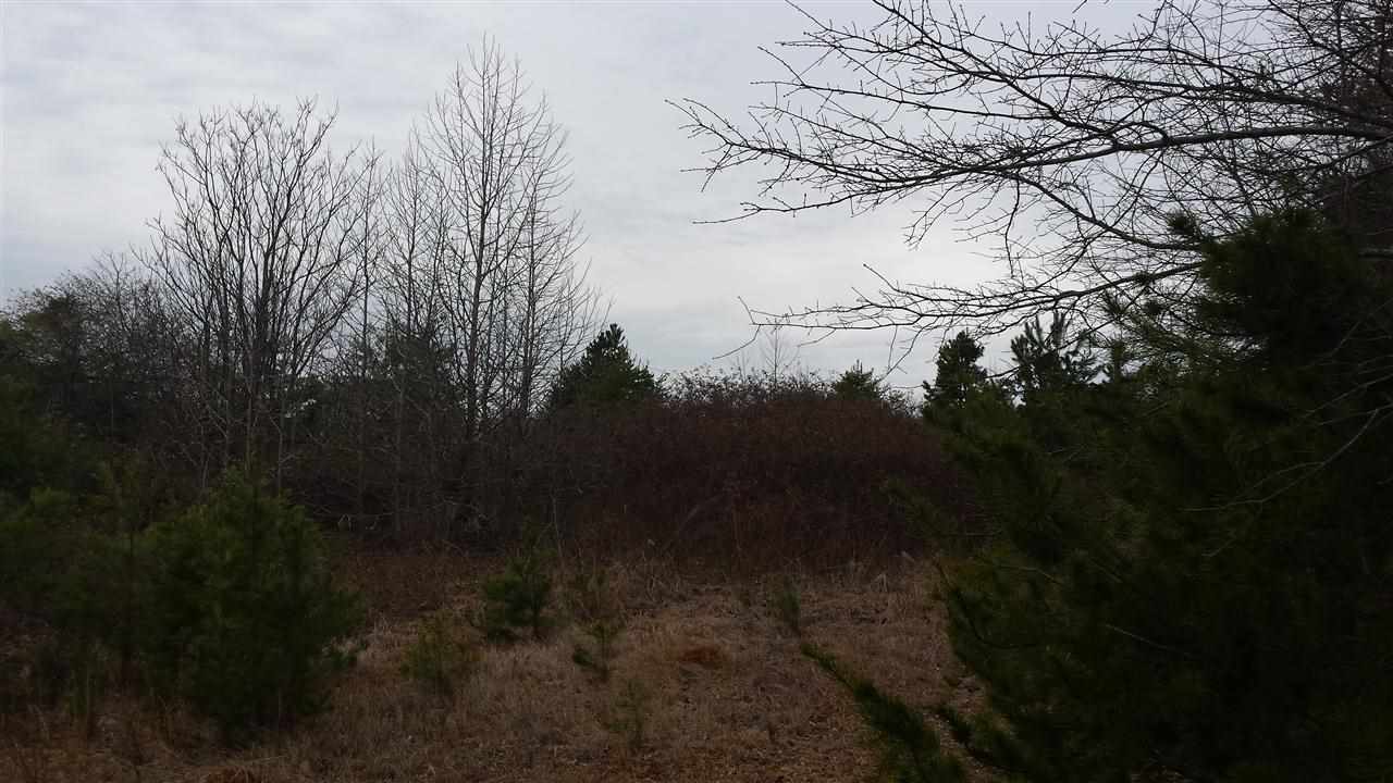 242 Stallion Road Inman, SC 29349 - Photo 2 of 7