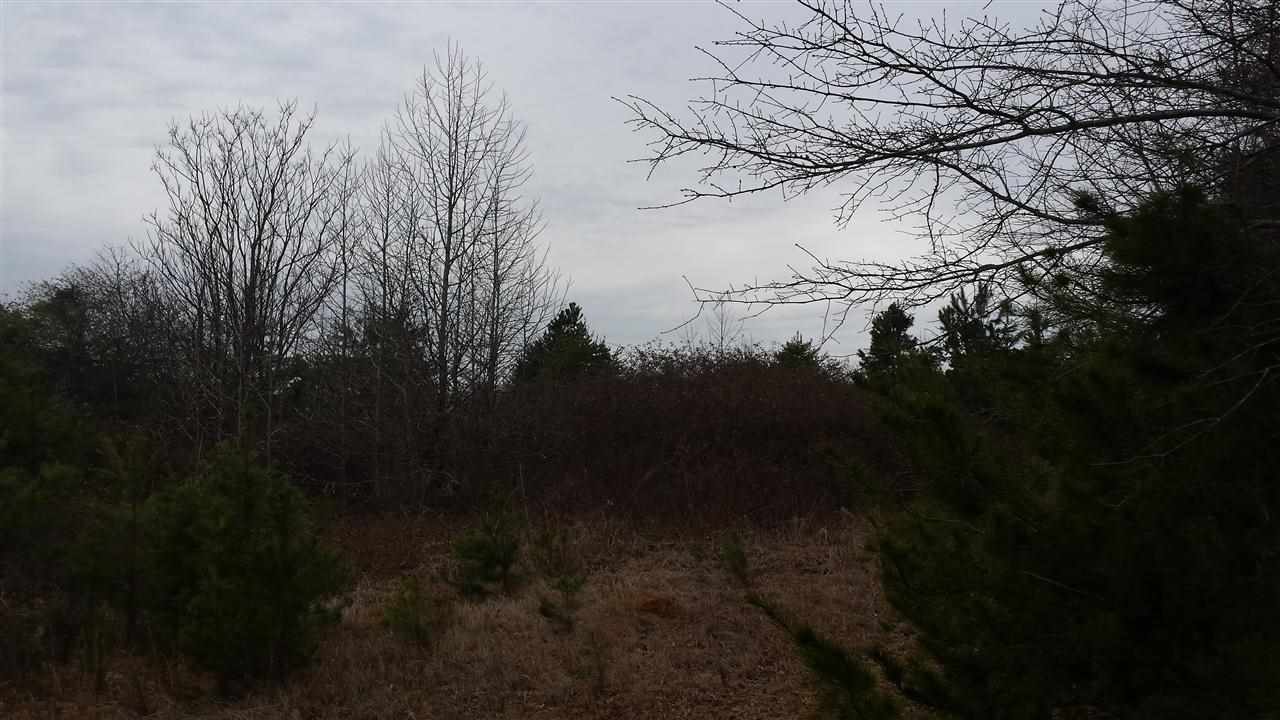 242 Stallion Road Inman, SC 29349 - Photo 3 of 7