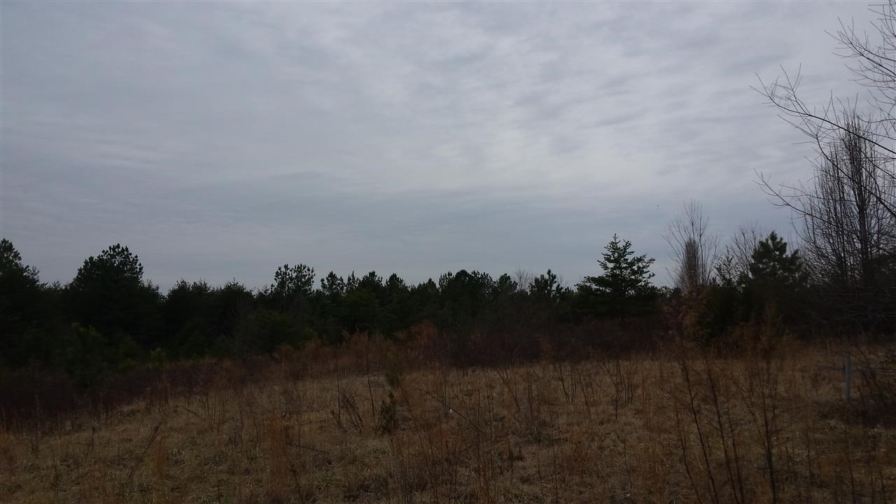 242 Stallion Road Inman, SC 29349 - Photo 4 of 7