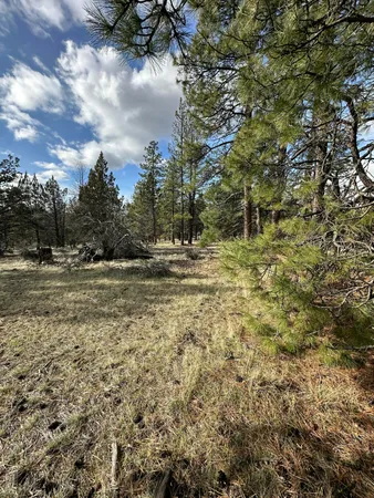 $14,000 | 0 Widgeon Drive, Unit LOT 3, Bonanza, OR 97623
