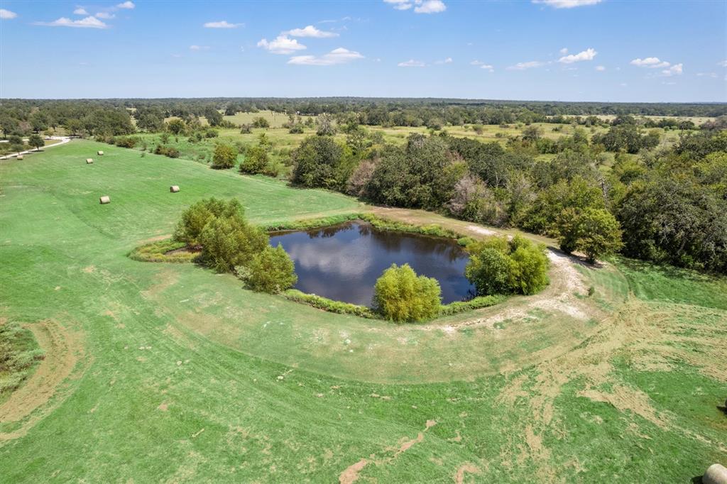 3759 Cr 126 Road Bedias, TX 77831 - Photo 35 of 38 a view of a lush green forest with a sink
