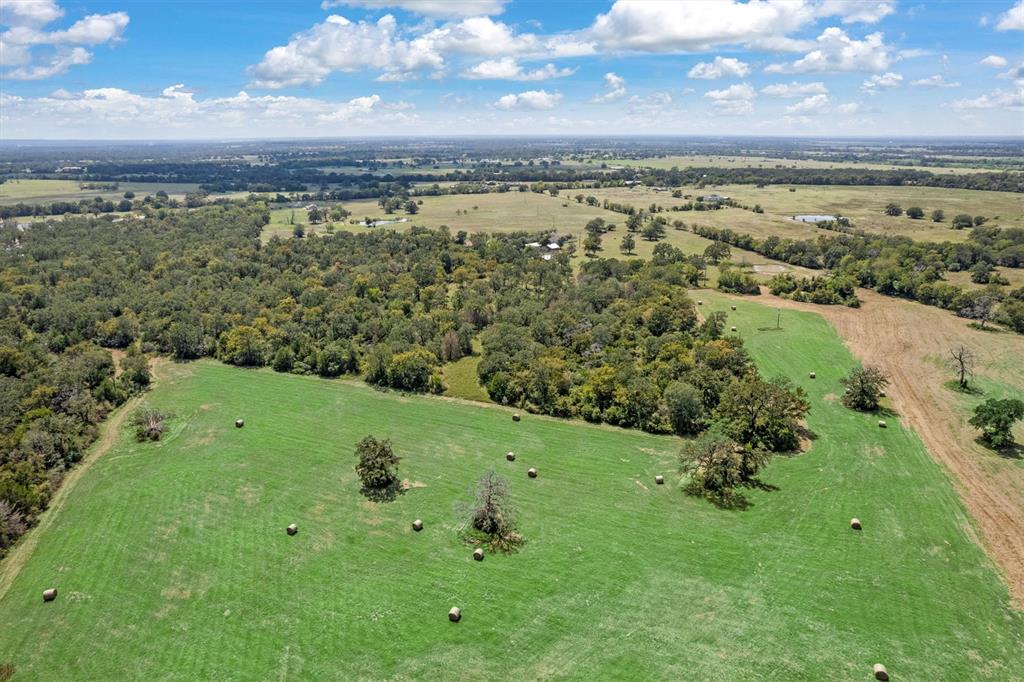 3759 Cr 126 Road Bedias, TX 77831 - Photo 36 of 38