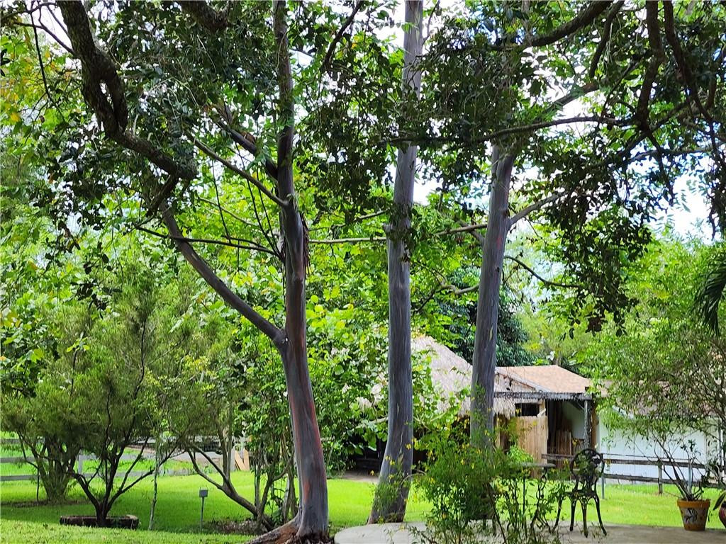 5131 Southwest 167th Avenue Southwest Ranches, FL 33331 - Photo 62 of 76 Photo 62