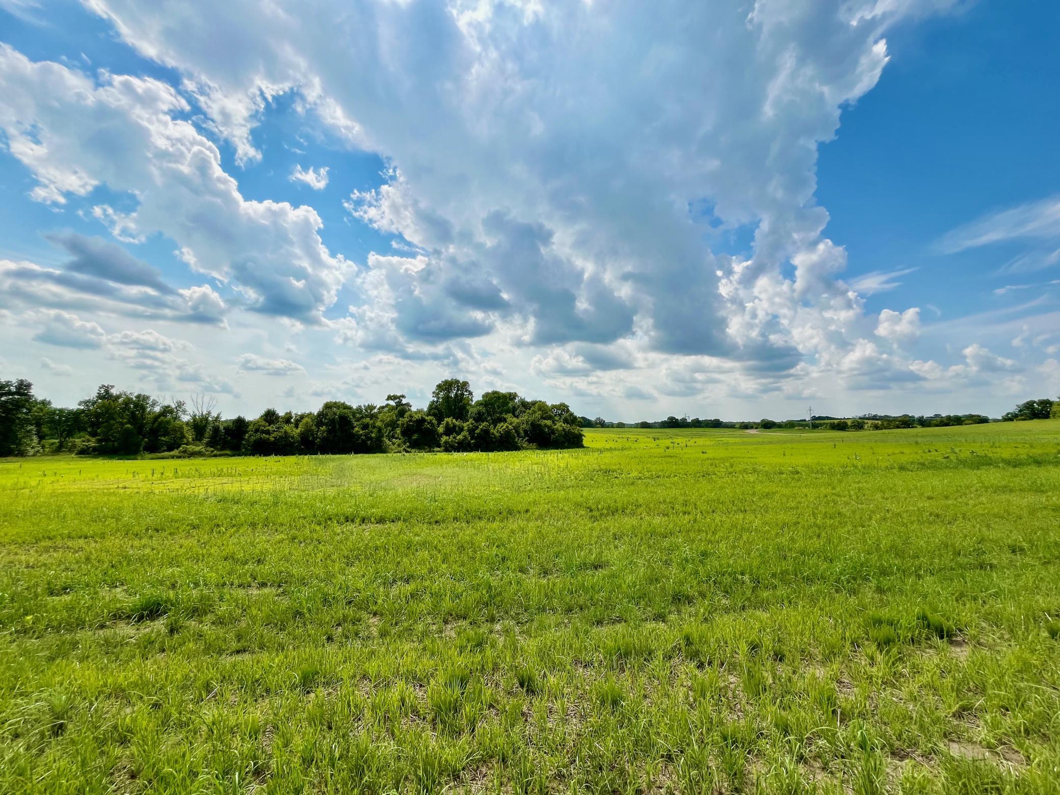 Lot 1-block River View Trail Pelican Rapids, MN 56572 - Photo 11 of 21
