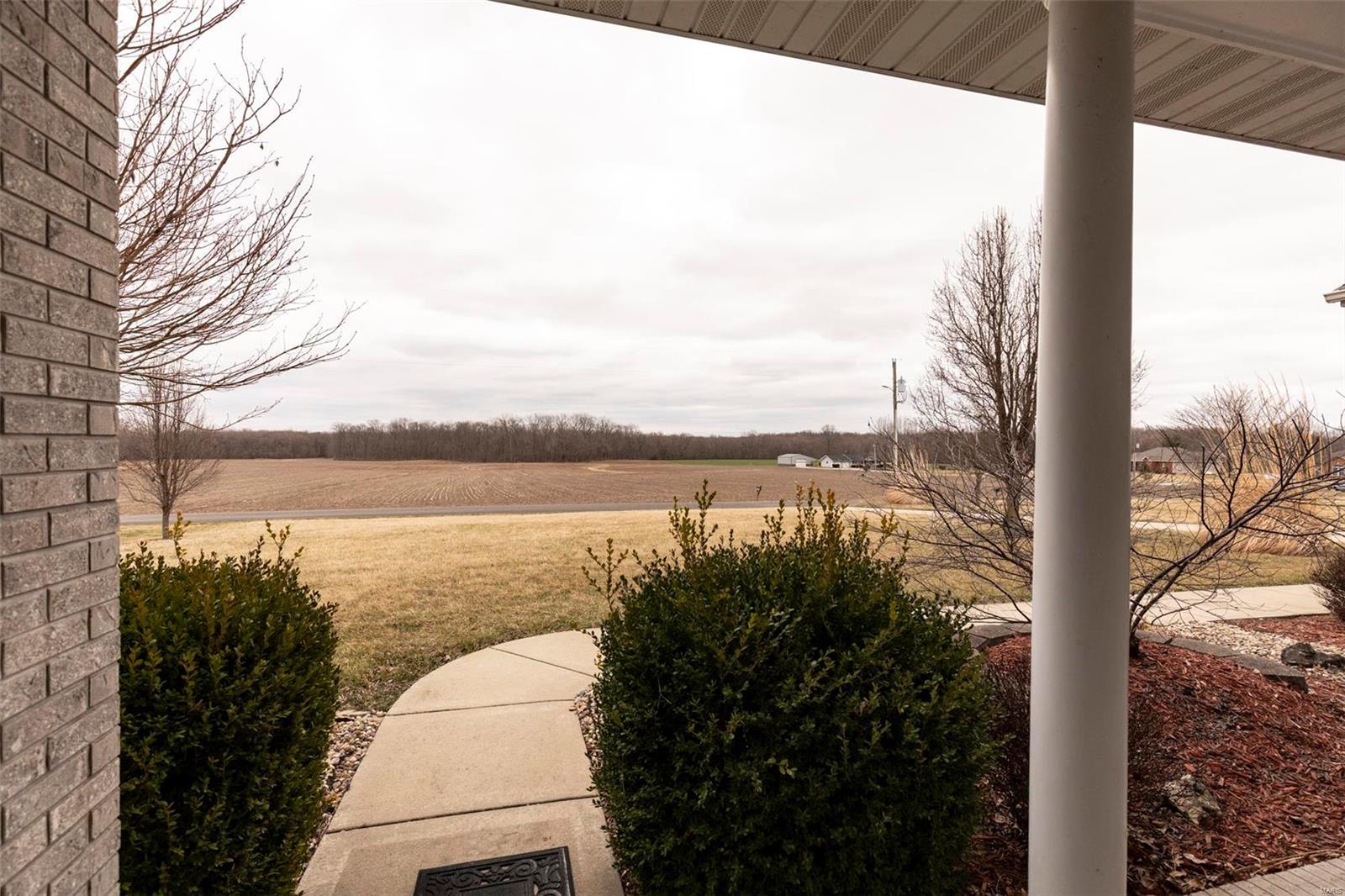 23 Blackjack Road Troy, IL 62294 - Photo 31 of 50