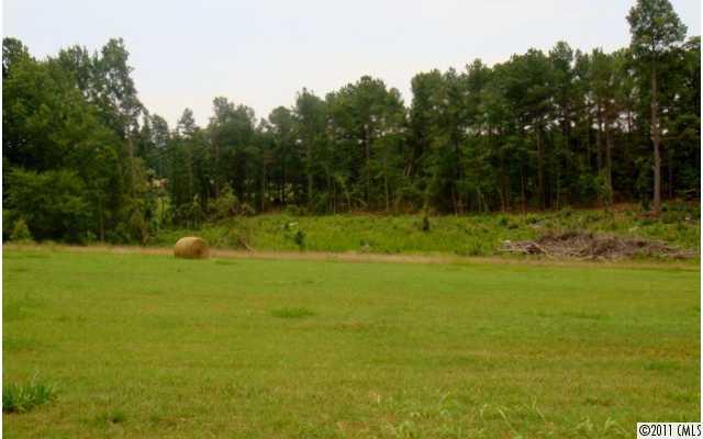 Lot 00 A R Gordon Road, Unit C Waxhaw, NC 28173 - Photo 3 of 8 Gallery Image 3