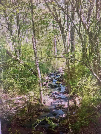 $275,000 | 1 Smith Road, Dunlap, TN 37327