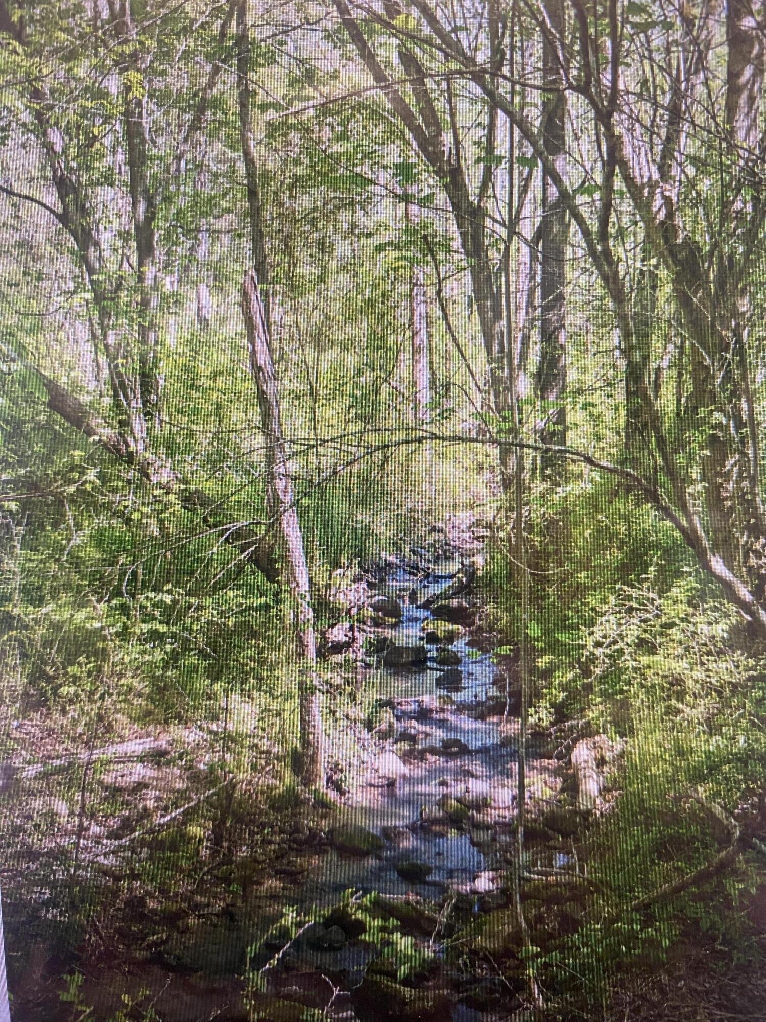 1 Smith Road Dunlap, TN 37327 - Photo 6 of 7 IMG_7976