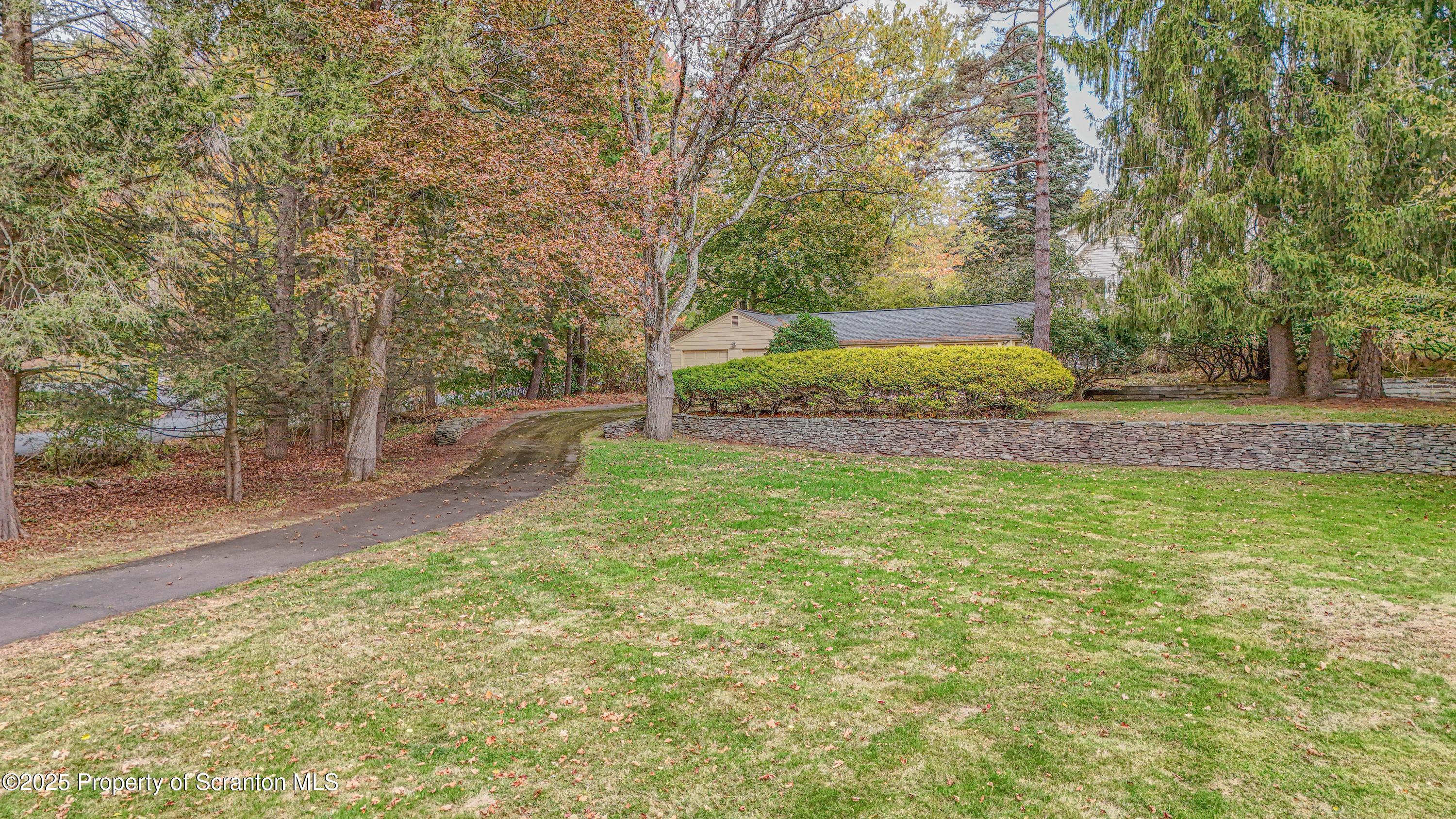 28 Church Hill Road Dalton, PA 18414 - Photo 59 of 63 a view of a yard with a tree