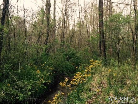 Lot 9 Taylor Road, Unit 9 Rutherfordton, NC 28139 - Photo 3 of 7