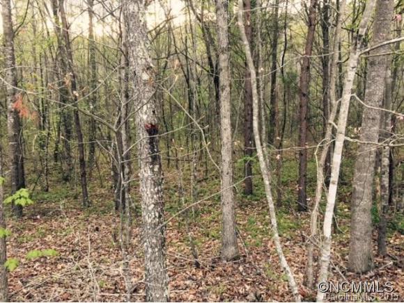 Lot 9 Taylor Road, Unit 9 Rutherfordton, NC 28139 - Photo 4 of 7