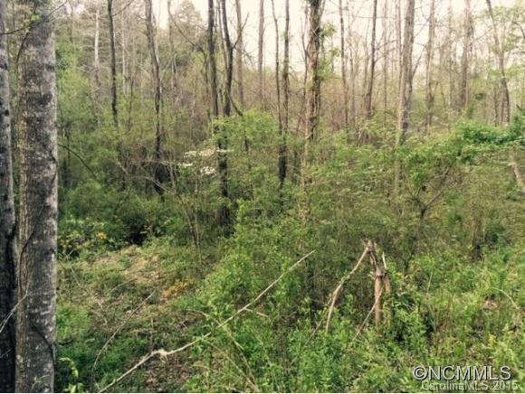 Lot 9 Taylor Road, Unit 9 Rutherfordton, NC 28139 - Photo 5 of 7