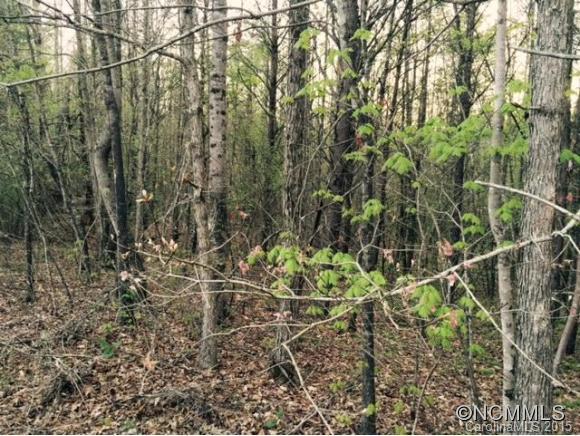Lot 9 Taylor Road, Unit 9 Rutherfordton, NC 28139 - Photo 6 of 7