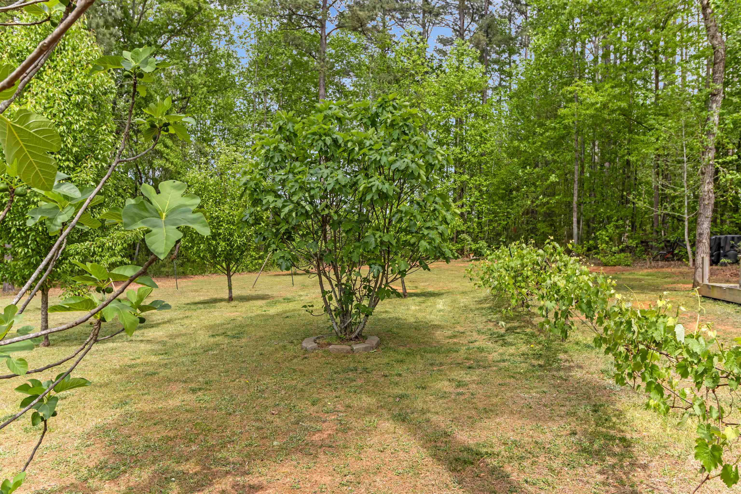 540 Bella Wds Trail Inman, SC 29349 - Photo 26 of 48