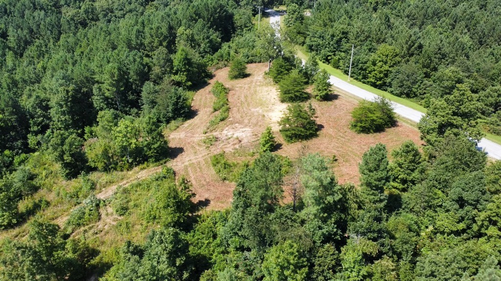 1 Sickler Road Hohenwald, TN 38462 - Photo 1 of 29 Gallery Image 1