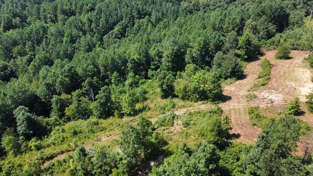 1 Sickler Road Hohenwald, TN 38462 - Photo 11 of 29 Gallery Image 11
