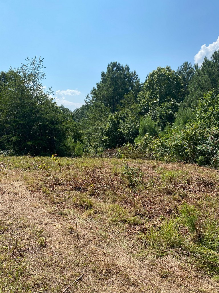 1 Sickler Road Hohenwald, TN 38462 - Photo 15 of 29 Gallery Image 15
