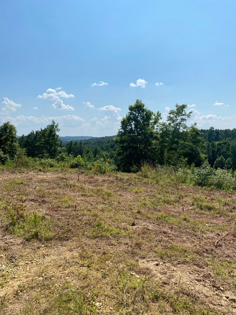 1 Sickler Road Hohenwald, TN 38462 - Photo 22 of 29 Gallery Image 22