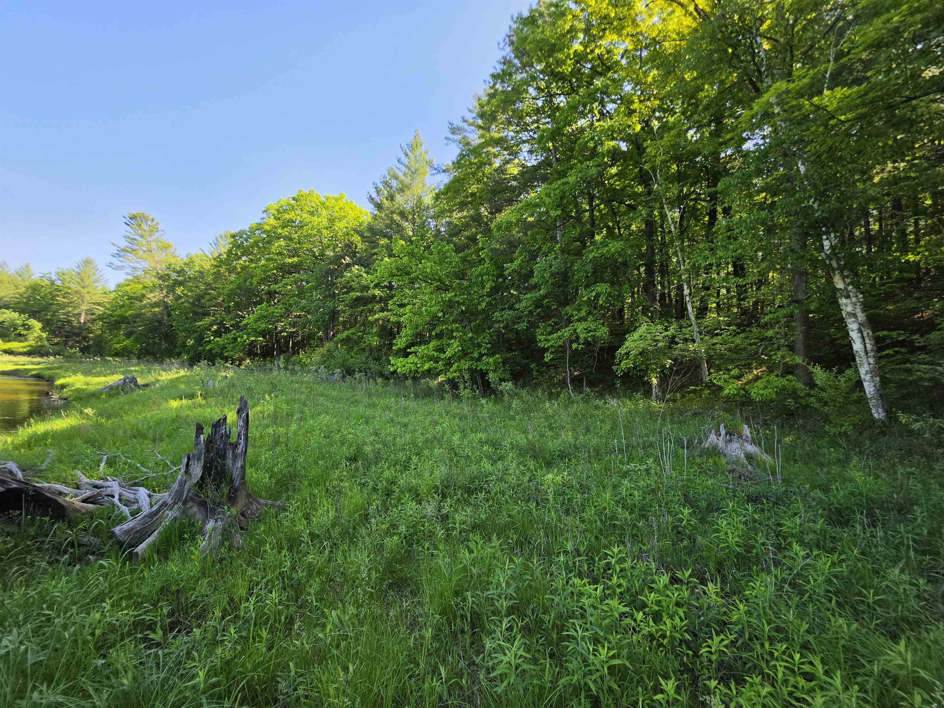 Tbd North Lakeshore Road Gladwin, MI 48624 - Photo 25 of 33