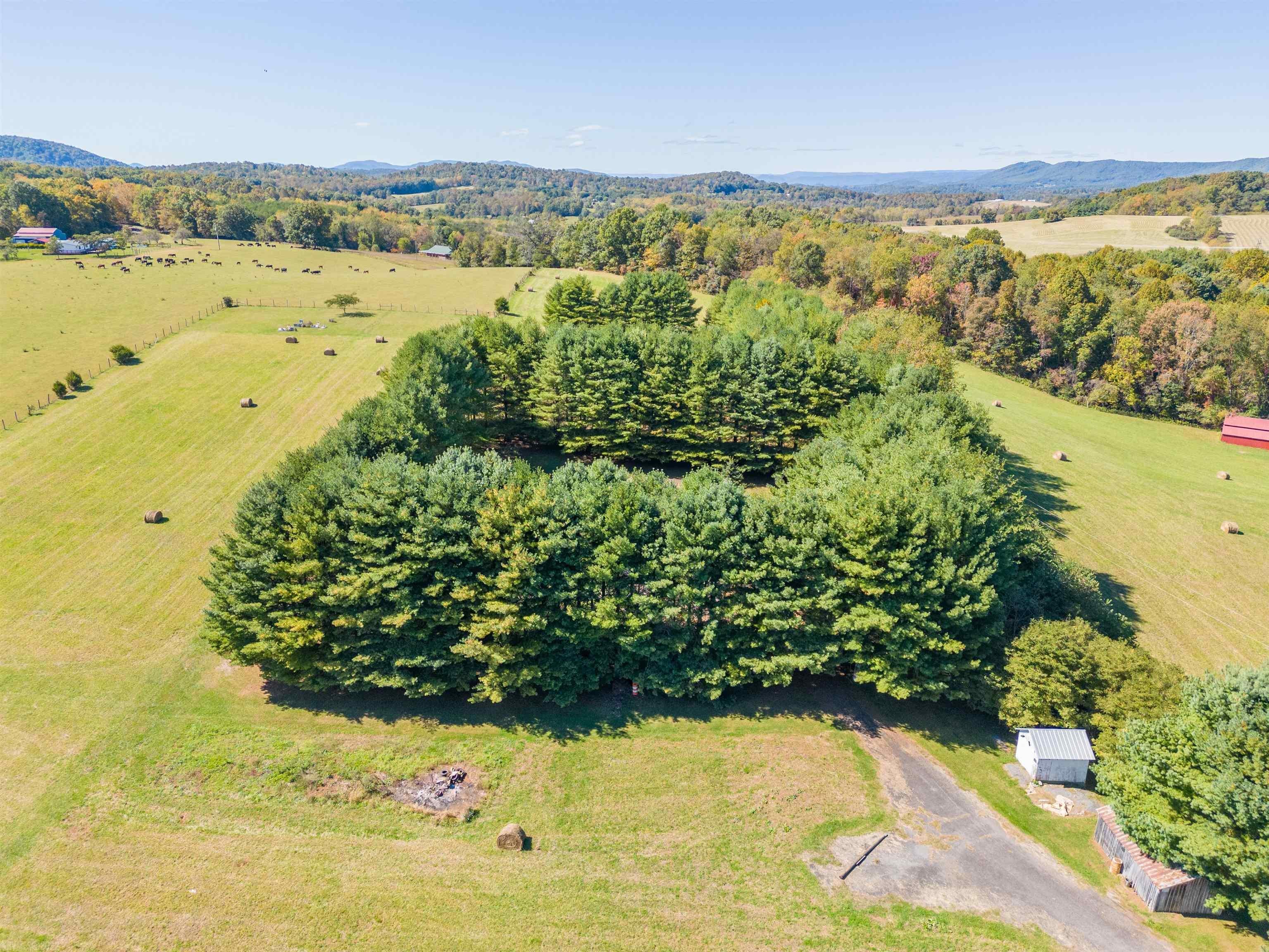 421 Mountain View Road Barren Springs, VA 24313 - Photo 58 of 64 Gallery Image 58