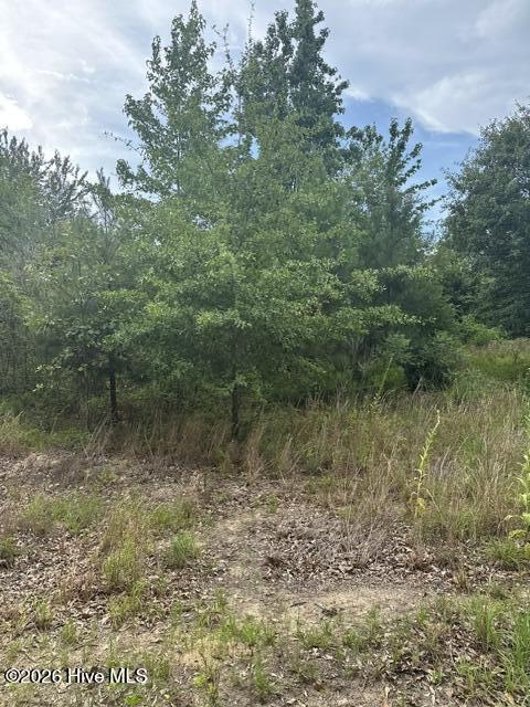 Tbd Old Pl Road Ellerbe, NC 28338 - Photo 2 of 5
