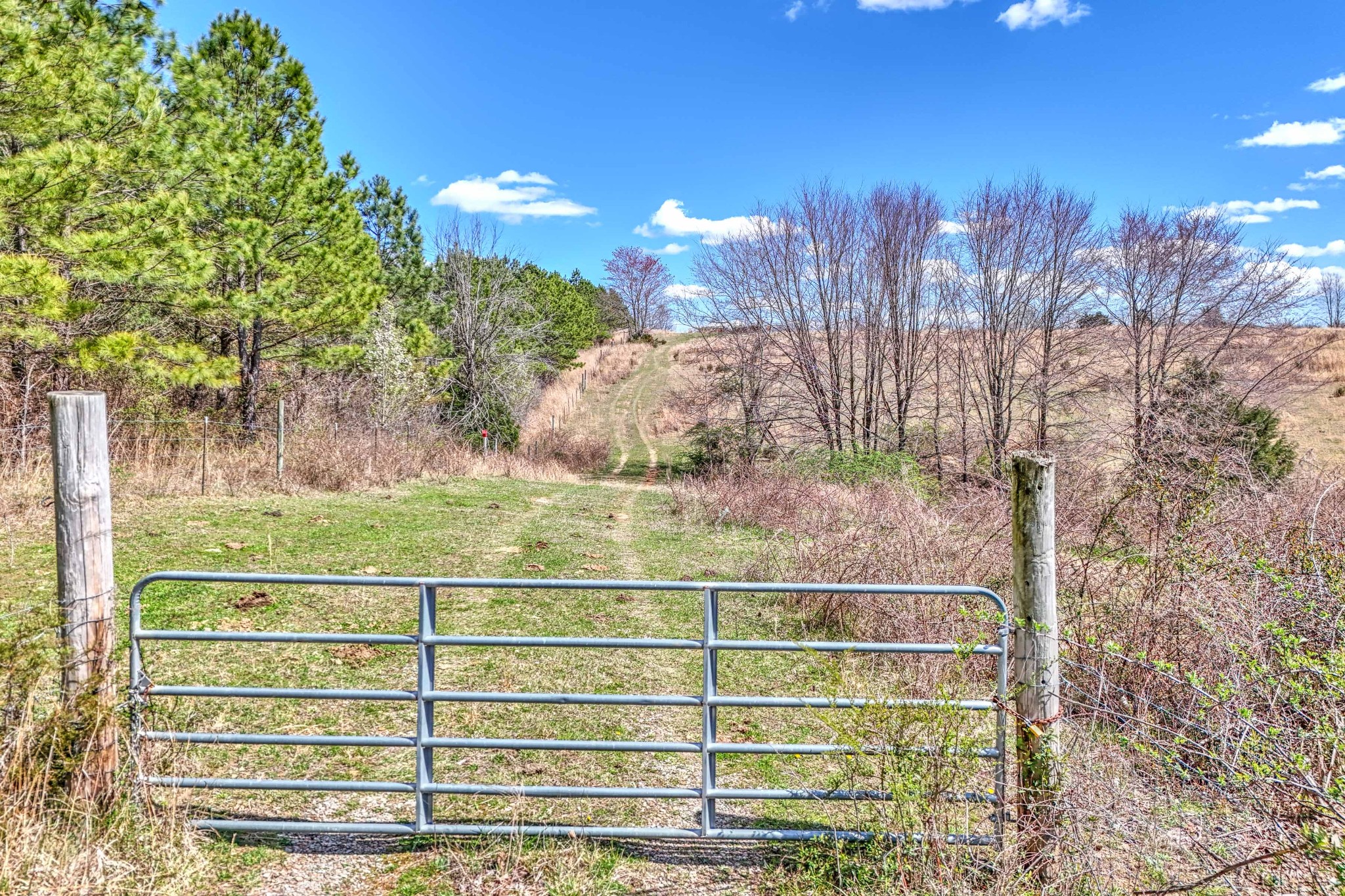 0 Bradford Road Primm Springs, TN 38476 - Photo 3 of 28 Gallery Image 3