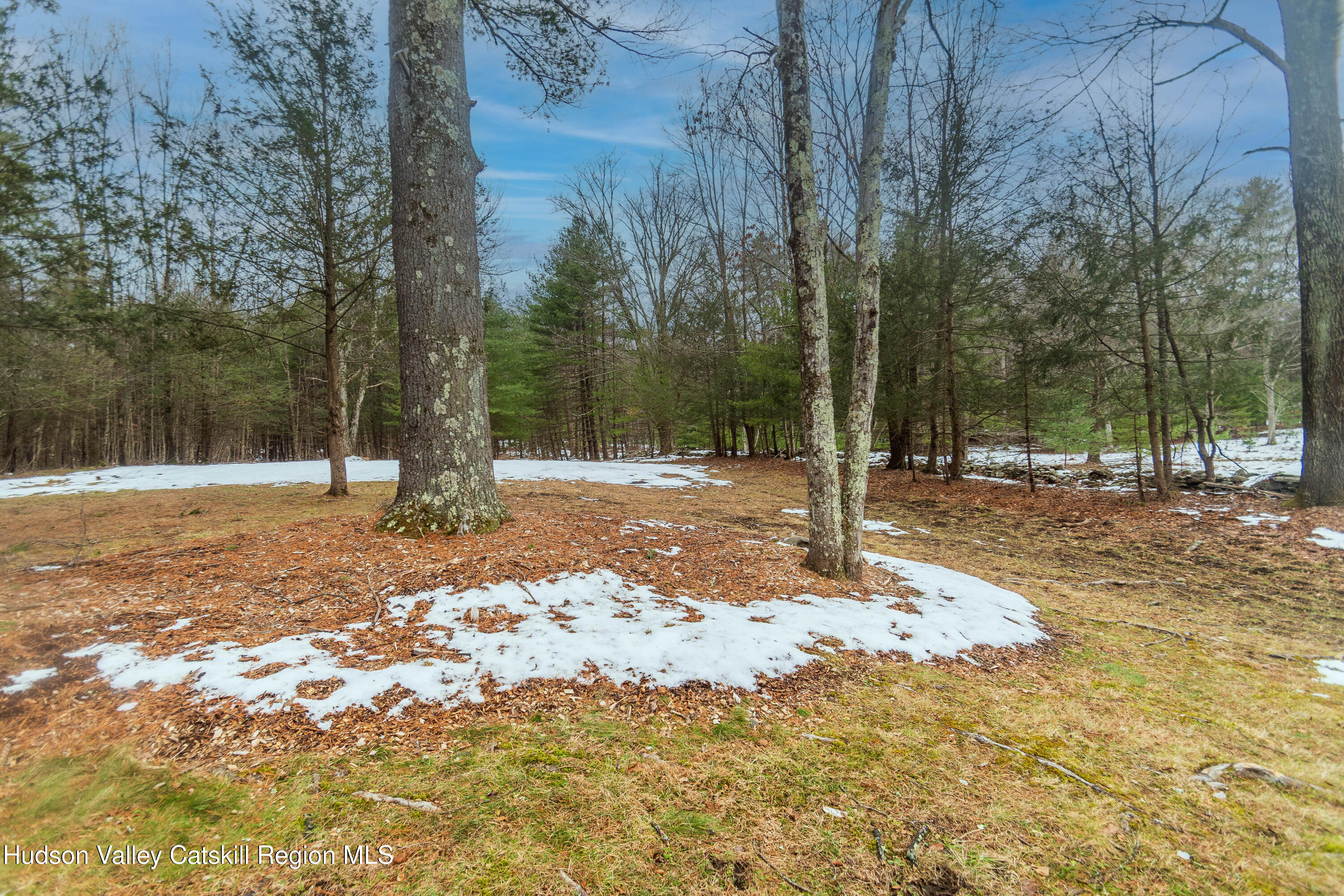183 Mill Road Olivebridge, NY 12461 - Photo 7 of 30 a view of a tree with a yard