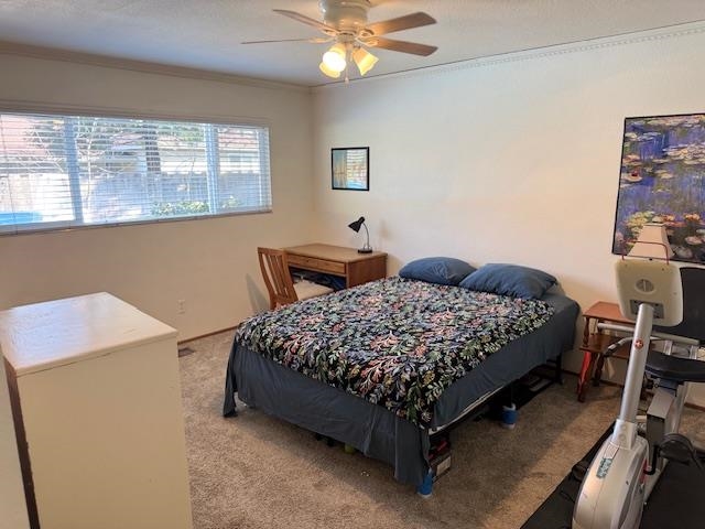 3800 Marigold Lane Modesto, CA 95356 - Photo 23 of 31