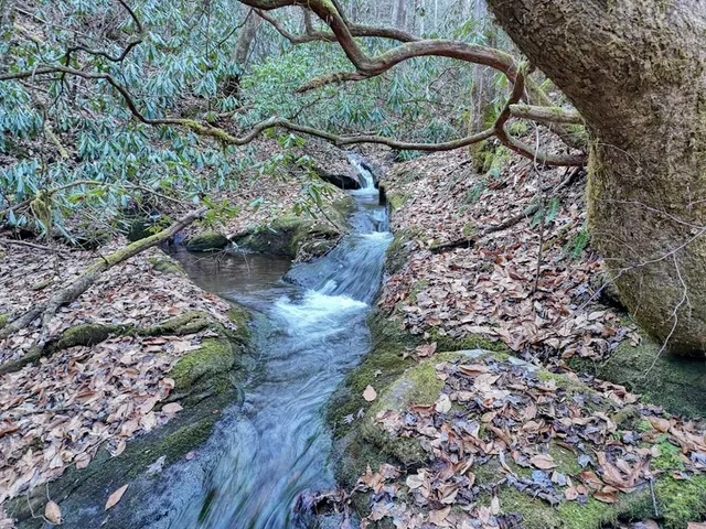 $30,000 | 7.69-ac Webb Creek Road, Andrews, NC 28901