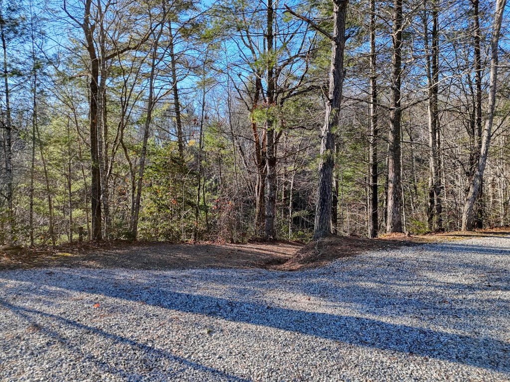 7.69-ac Webb Creek Road Andrews, NC 28901 - Photo 11 of 20