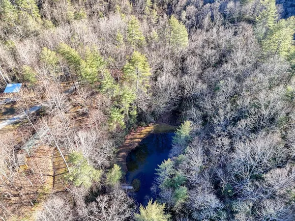 a backyard of a house with lots of trees