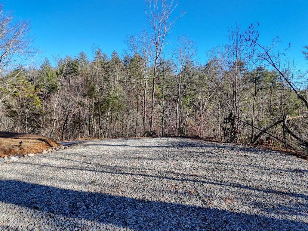 7.69-ac Webb Creek Road Andrews, NC 28901 - Photo 13 of 20