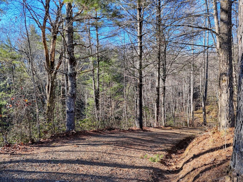7.69-ac Webb Creek Road Andrews, NC 28901 - Photo 14 of 20