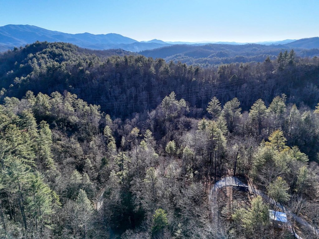 7.69-ac Webb Creek Road Andrews, NC 28901 - Photo 15 of 20