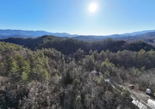 a view of a lush green hillside and a mountain view