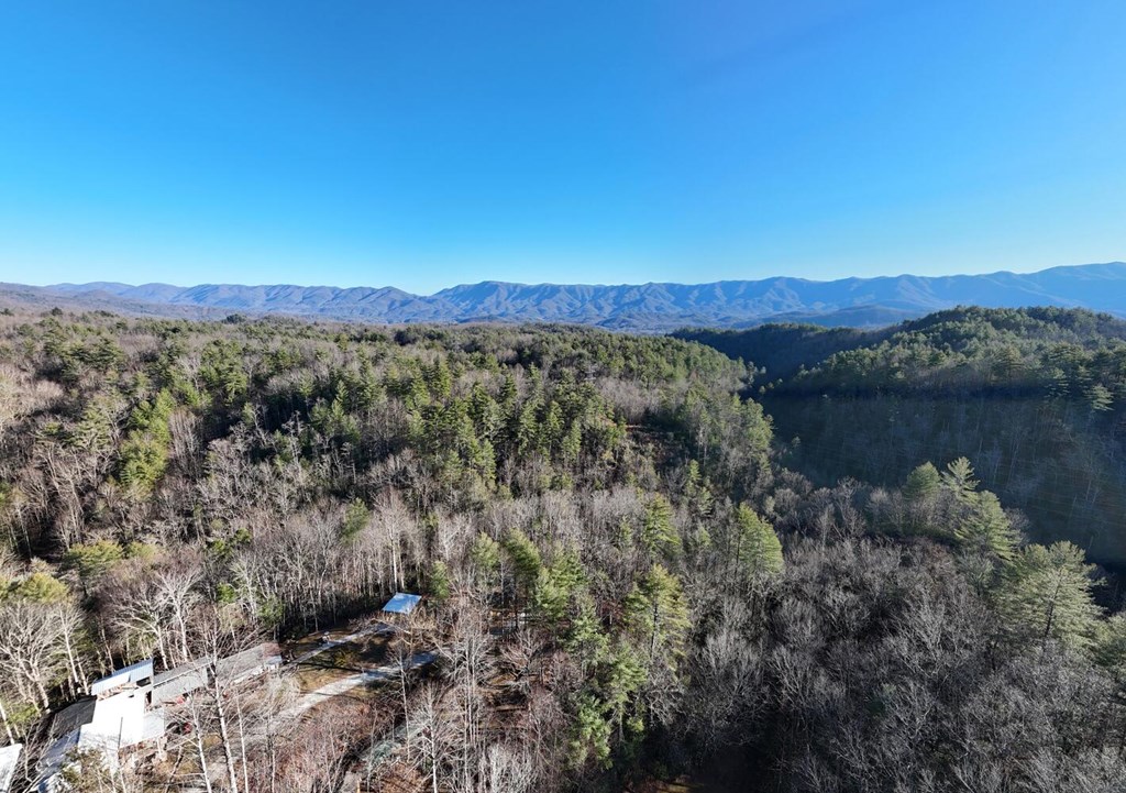 7.69-ac Webb Creek Road Andrews, NC 28901 - Photo 17 of 20