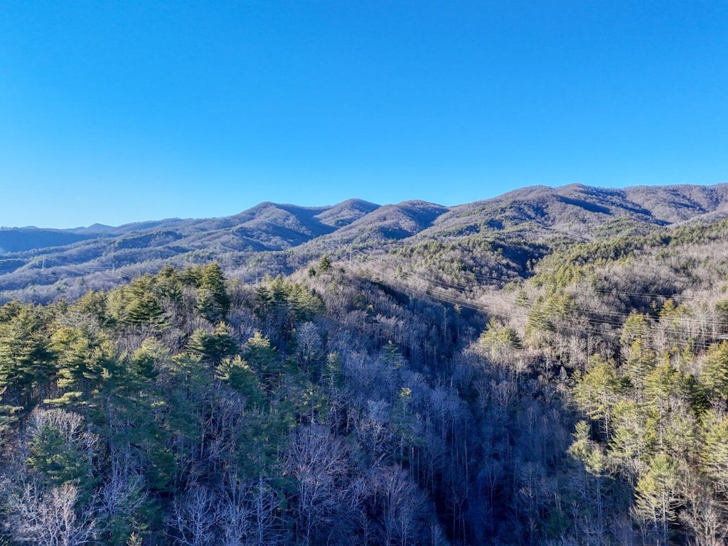 7.69-ac Webb Creek Road Andrews, NC 28901 - Photo 18 of 20