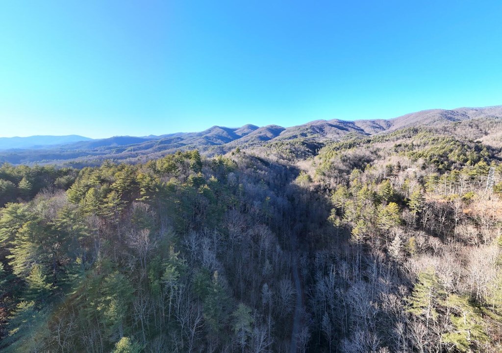 7.69-ac Webb Creek Road Andrews, NC 28901 - Photo 20 of 20