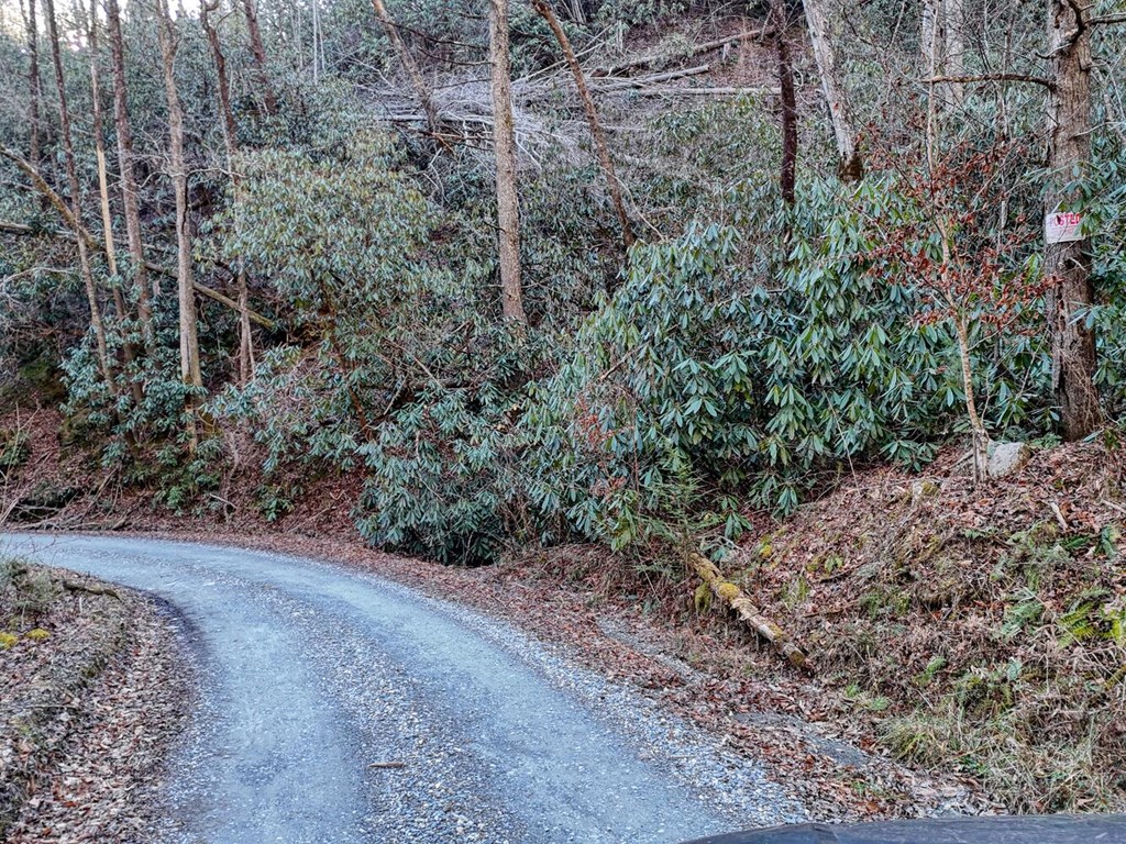 7.69-ac Webb Creek Road Andrews, NC 28901 - Photo 3 of 20