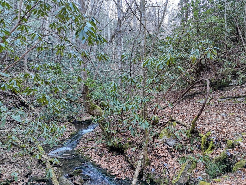 7.69-ac Webb Creek Road Andrews, NC 28901 - Photo 4 of 20