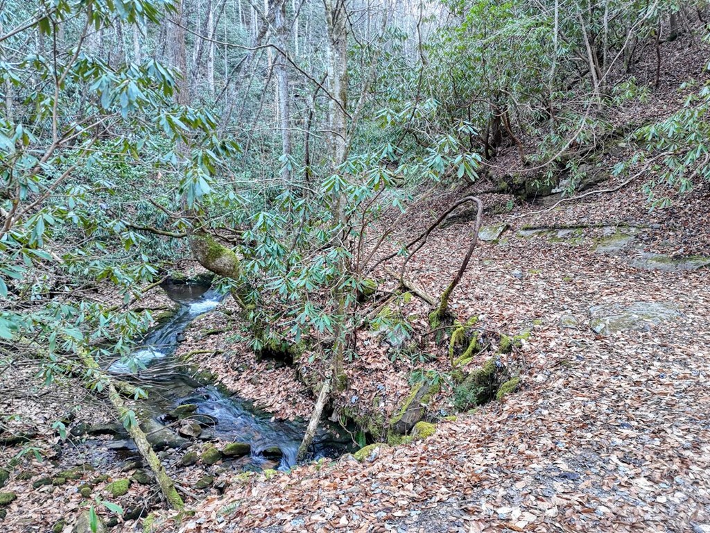 7.69-ac Webb Creek Road Andrews, NC 28901 - Photo 5 of 20 Potential View from neighboring property.