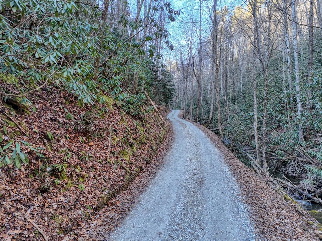 7.69-ac Webb Creek Road Andrews, NC 28901 - Photo 7 of 20