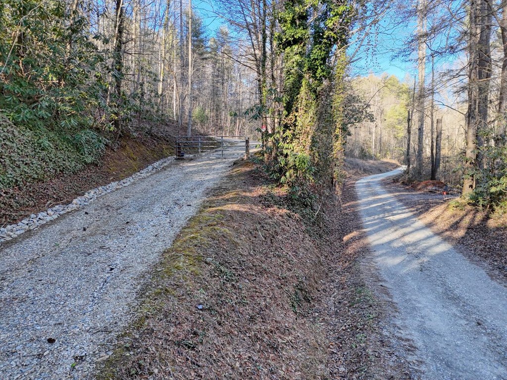7.69-ac Webb Creek Road Andrews, NC 28901 - Photo 8 of 20
