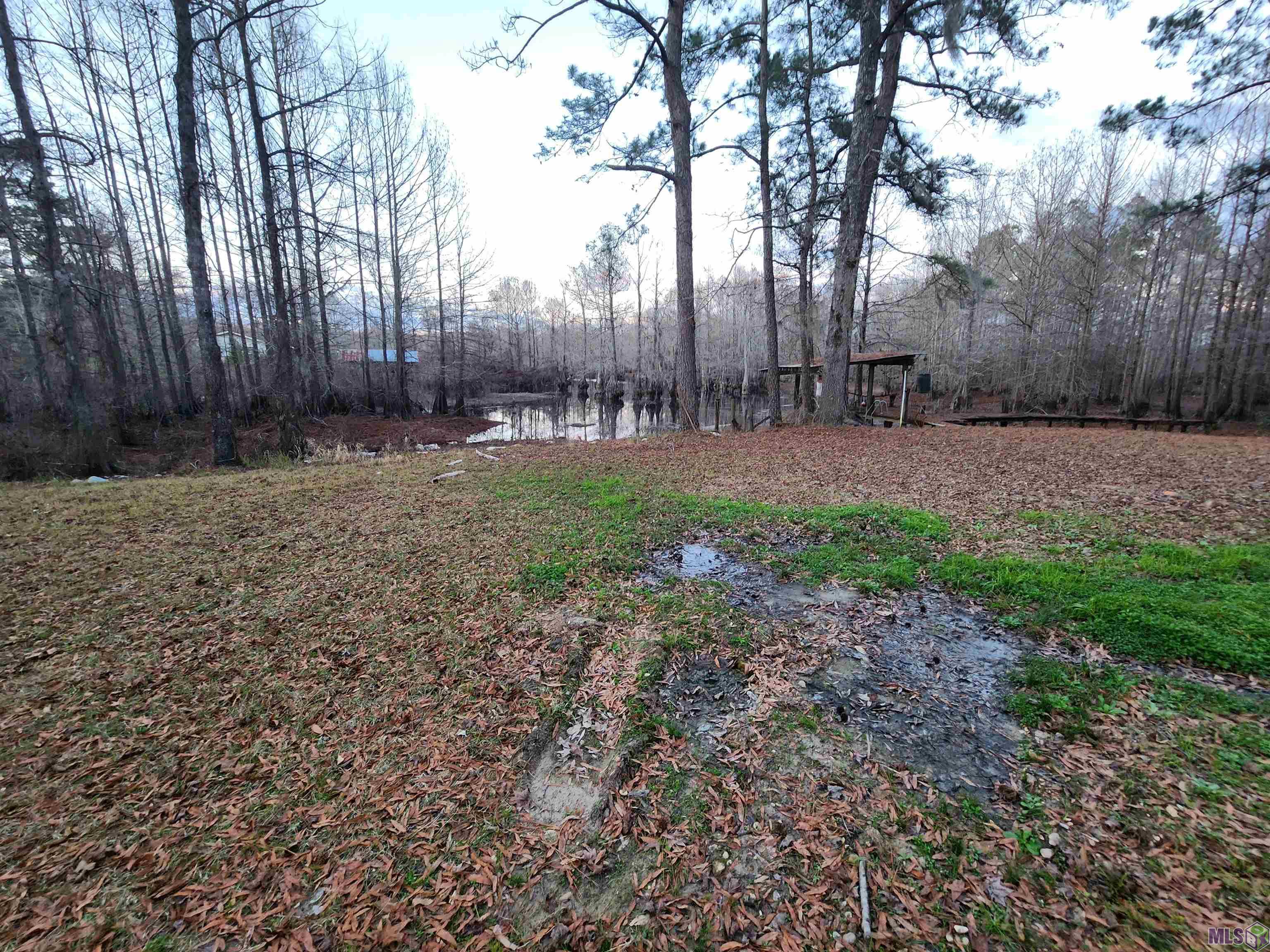 390 Sand Dump Road Winnfield, LA 71483 - Photo 8 of 28